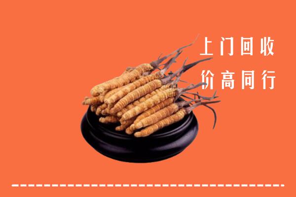高价求购：高邮市回收散虫草