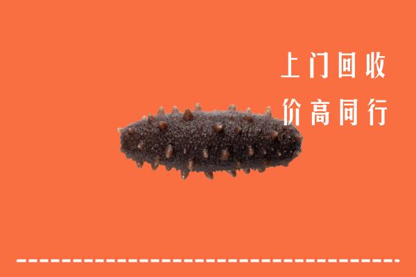 高邮市回收海参